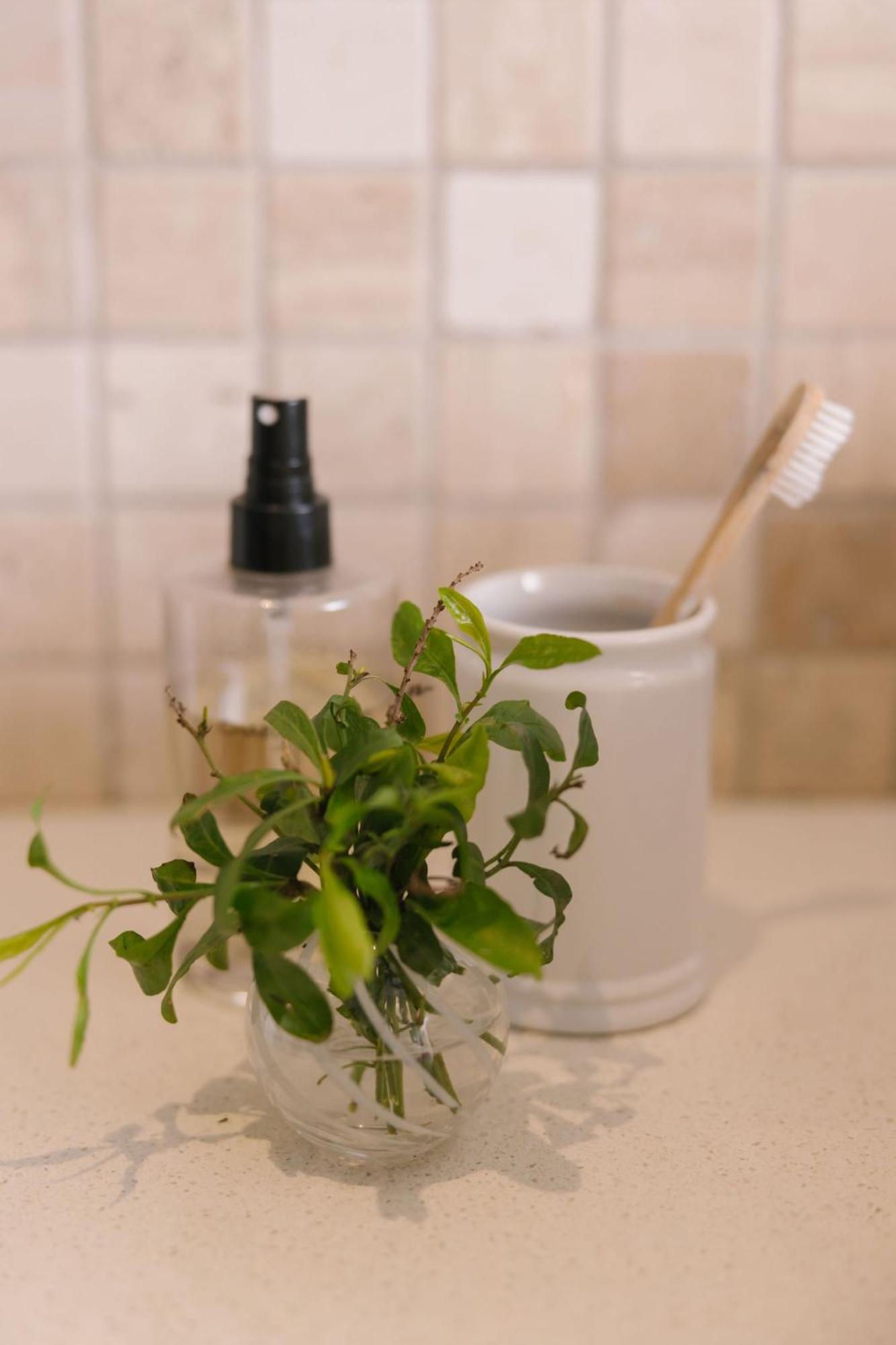Under Oaks Guesthouse 파를 외부 사진